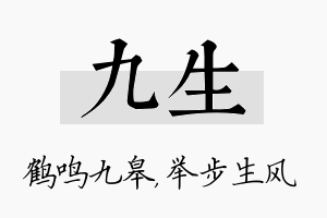 九生名字的寓意及含义