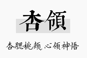 杏领名字的寓意及含义