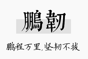 鹏韧名字的寓意及含义