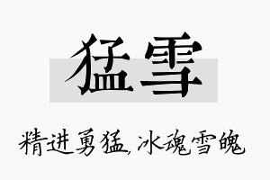 猛雪名字的寓意及含义