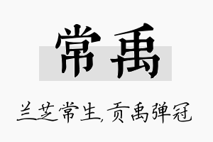 常禹名字的寓意及含义