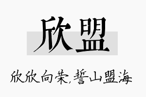 欣盟名字的寓意及含义