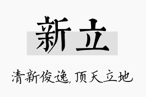 新立名字的寓意及含义