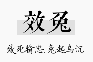 效兔名字的寓意及含义