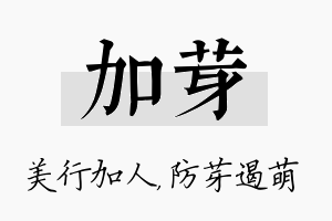 加芽名字的寓意及含义