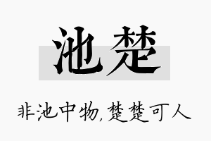 池楚名字的寓意及含义