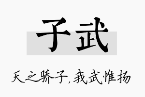 子武名字的寓意及含义