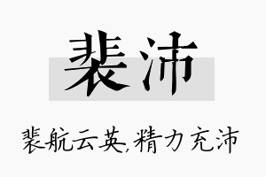 裴沛名字的寓意及含义