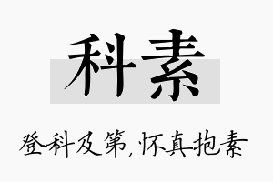 科素名字的寓意及含义