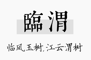 临渭名字的寓意及含义