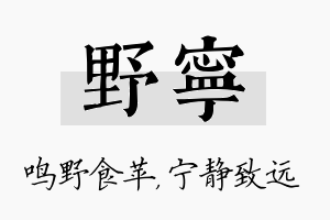 野宁名字的寓意及含义