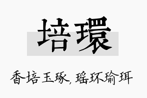 培环名字的寓意及含义