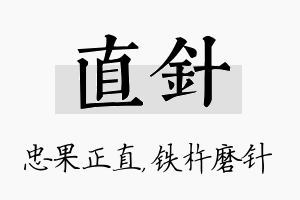 直针名字的寓意及含义