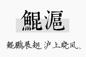 鲲沪名字的寓意及含义