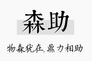 森助名字的寓意及含义