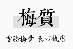 梅质名字的寓意及含义