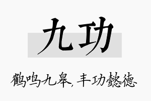 九功名字的寓意及含义