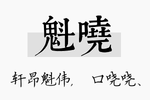 魁哓名字的寓意及含义