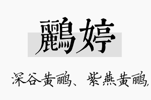 鹂婷名字的寓意及含义