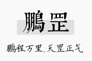 鹏罡名字的寓意及含义