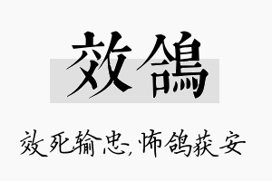 效鸽名字的寓意及含义