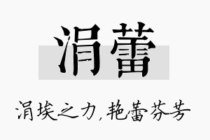 涓蕾名字的寓意及含义