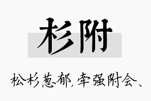 杉附名字的寓意及含义