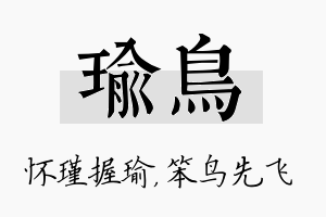 瑜鸟名字的寓意及含义