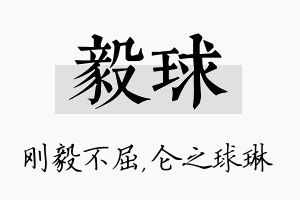 毅球名字的寓意及含义