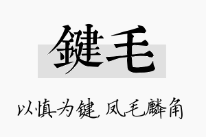 键毛名字的寓意及含义