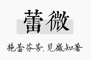 蕾微名字的寓意及含义