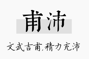 甫沛名字的寓意及含义