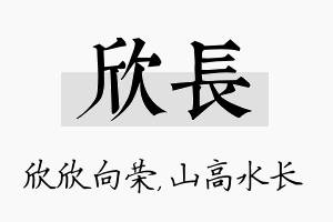 欣长名字的寓意及含义