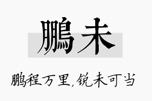 鹏未名字的寓意及含义