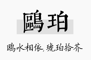 鸥珀名字的寓意及含义