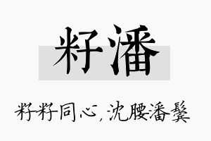 籽潘名字的寓意及含义