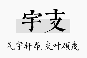 宇支名字的寓意及含义