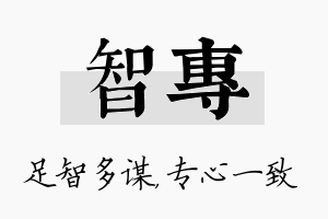 智专名字的寓意及含义