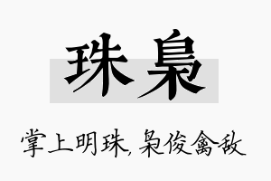 珠枭名字的寓意及含义