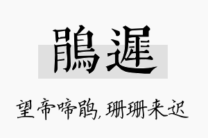 鹃迟名字的寓意及含义