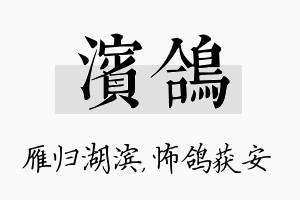 滨鸽名字的寓意及含义