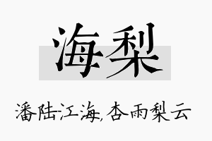 海梨名字的寓意及含义