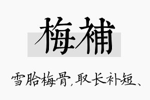 梅补名字的寓意及含义