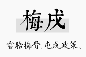 梅戌名字的寓意及含义