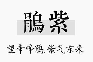 鹃紫名字的寓意及含义