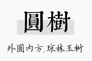 圆树名字的寓意及含义