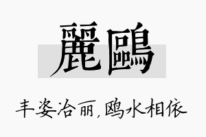 丽鸥名字的寓意及含义