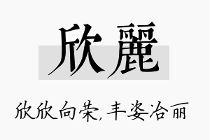 欣丽名字的寓意及含义