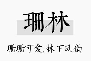 珊林名字的寓意及含义