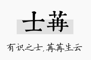 士苒名字的寓意及含义